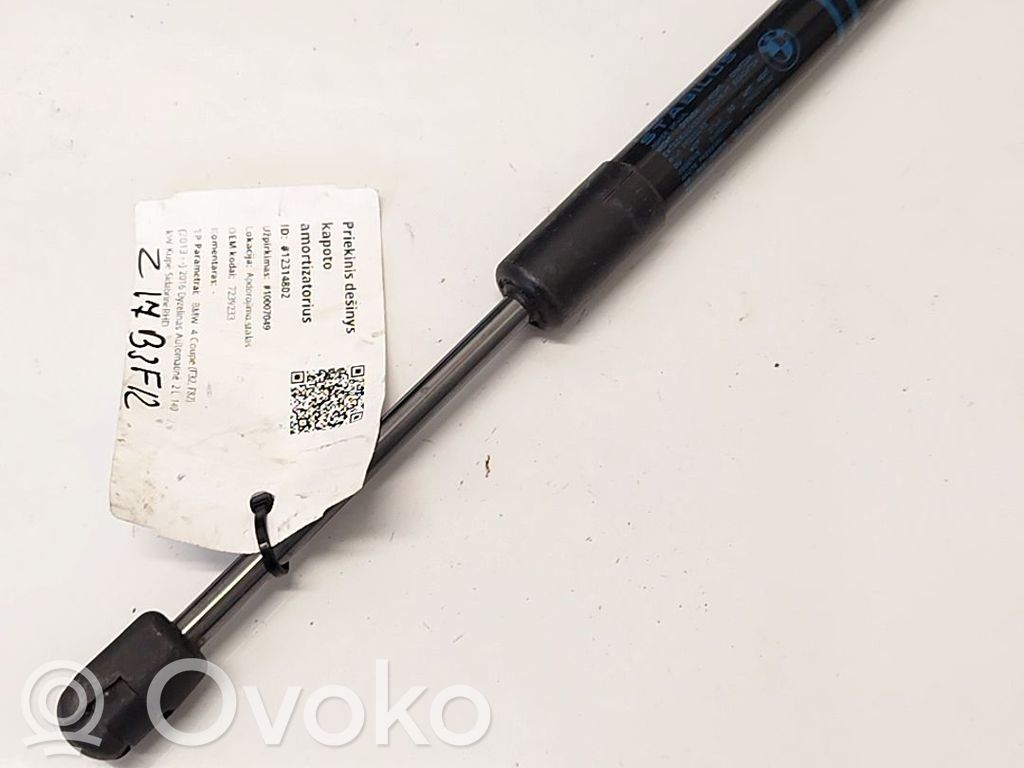 BMW 1 F20 F21 Ammortizzatore portellone anteriore/cofano 