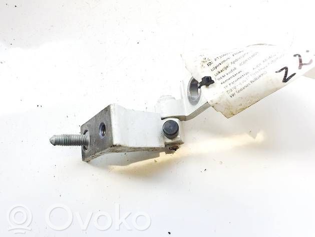 Audi A6 S6 C7 4G Cerniera inferiore della portiera posteriore 