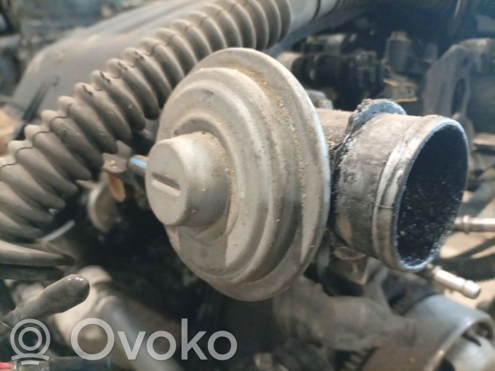 AGR-Ventil Abgasrückführung