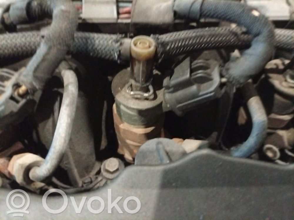 Inyector de combustible   0445110297,0445110297,0445110297