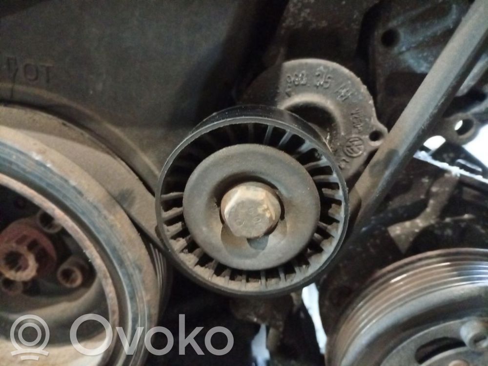 Volkswagen Cross Polo Întinzător curea generator/alternator 