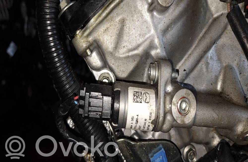 Mazda CX-5 II Koło pasowe wałka rozrządu / VANOS 