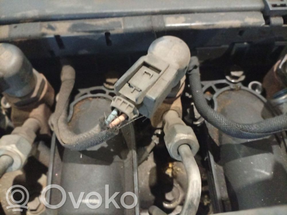 Citroen C4 I Picasso Injector combustibil