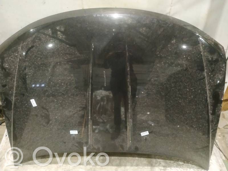 Dodge Journey Vano motore/cofano 