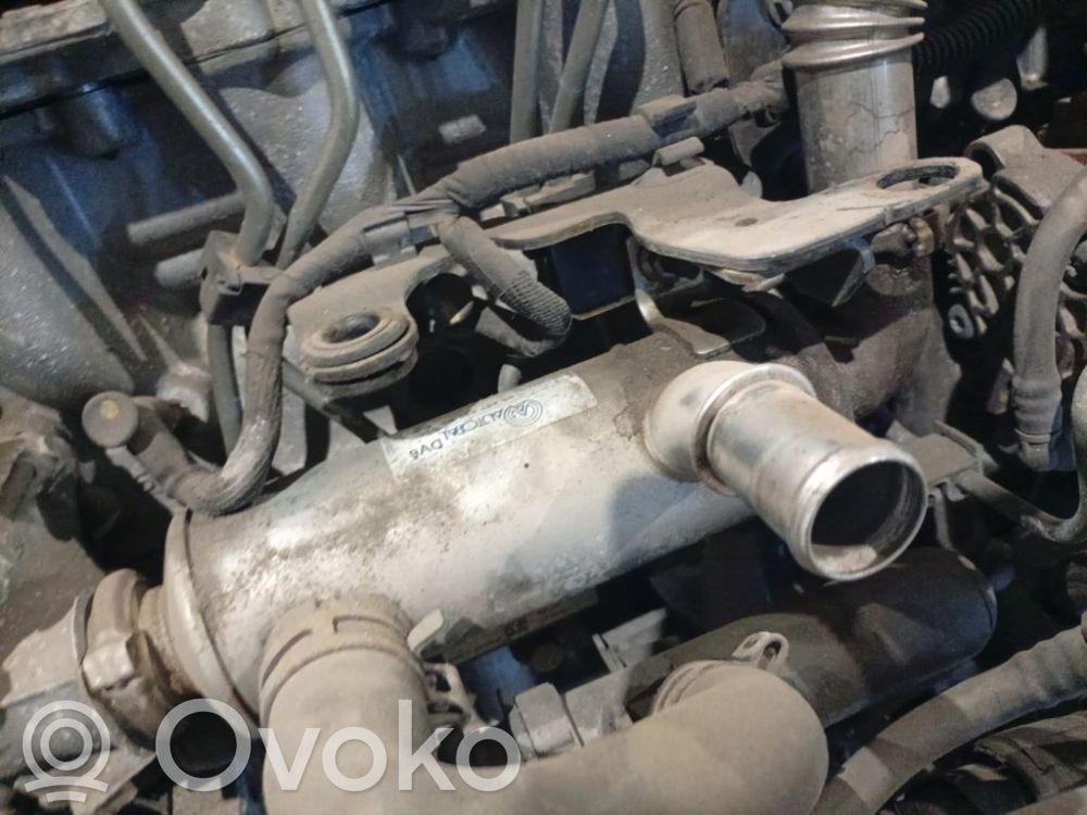 Citroen Berlingo Valvola di raffreddamento EGR
