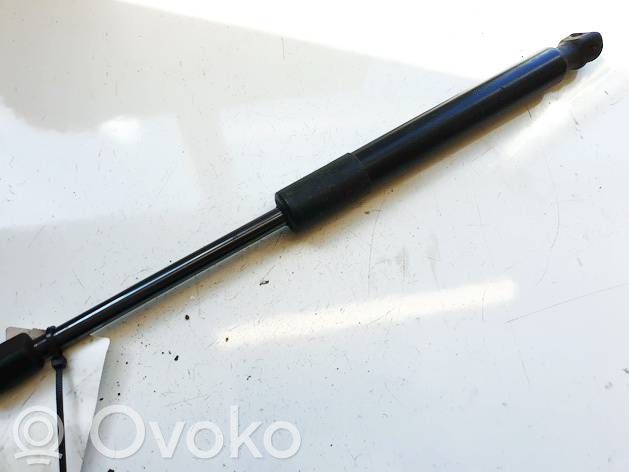 Tesla Model 3 Amortizor hayon 