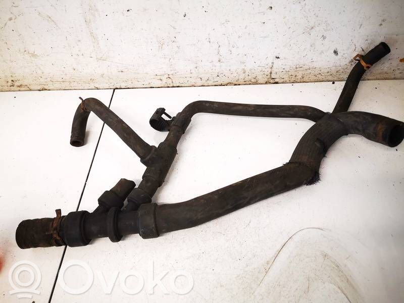 Renault Scenic I Tubo flessibile del liquido di raffreddamento del motore 