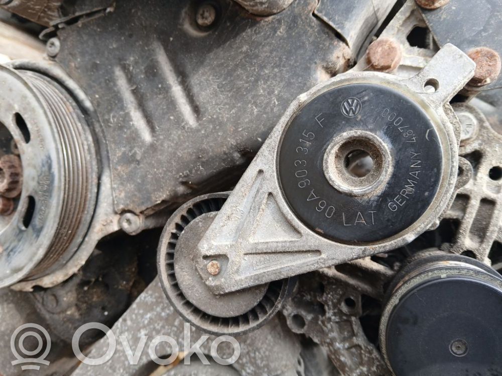 Skoda Octavia Mk2 (1Z) Întinzător curea generator/alternator