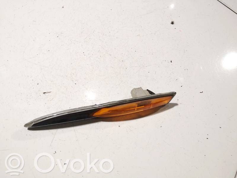Front fender indicator light
