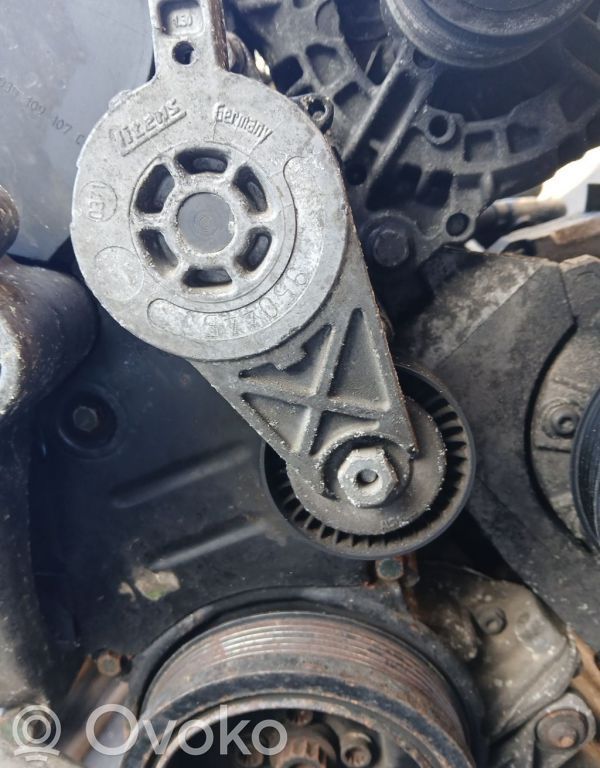 Volkswagen Jetta V Tendicinghia generatore/alternatore 