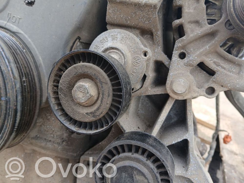 Audi A4 S4 B8 8K Întinzător curea generator/alternator 