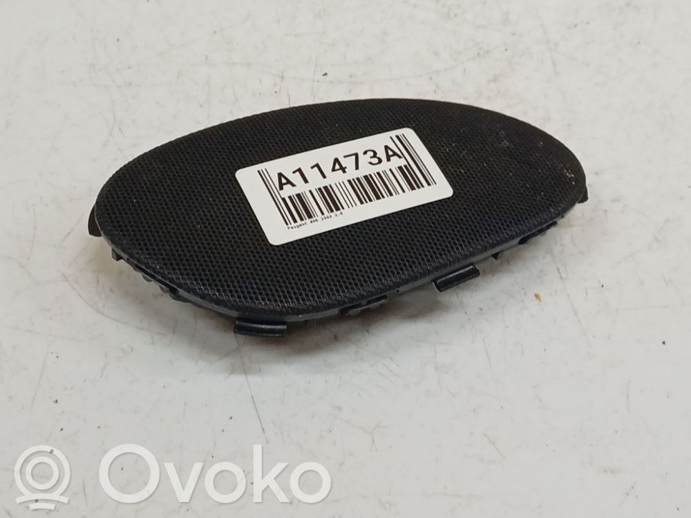 Peugeot 406 Etuoven kaiutin