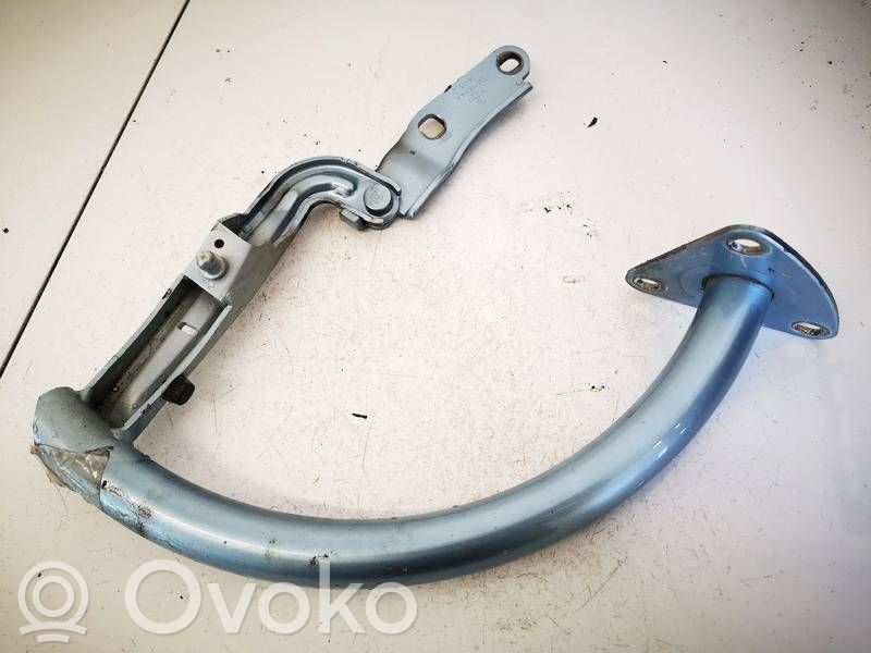 Volkswagen PASSAT B6 Cerniera portellone posteriore/bagagliaio
