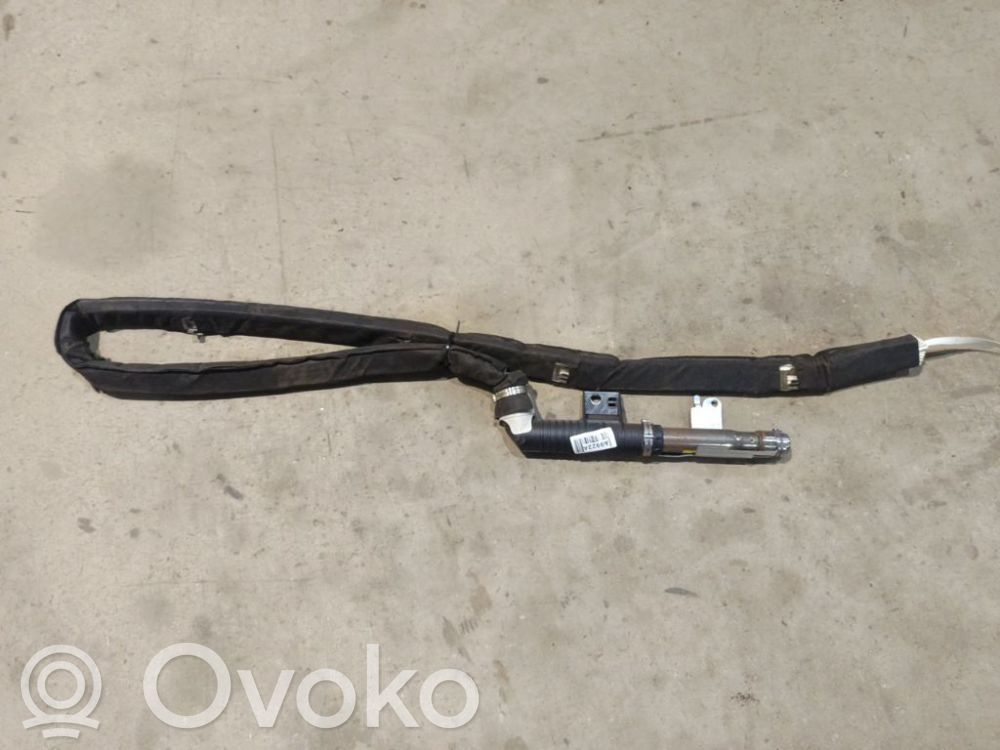 Renault Vel Satis Airbag del techo 