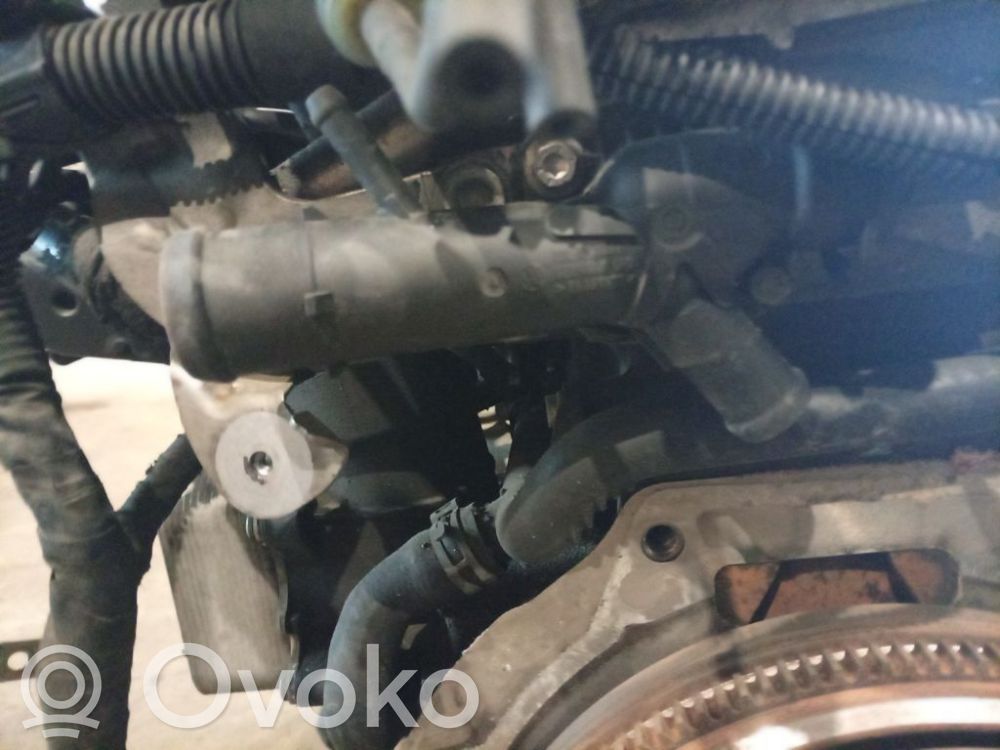Seat Ibiza IV (6J,6P) Tubo flessibile del liquido di raffreddamento del motore
