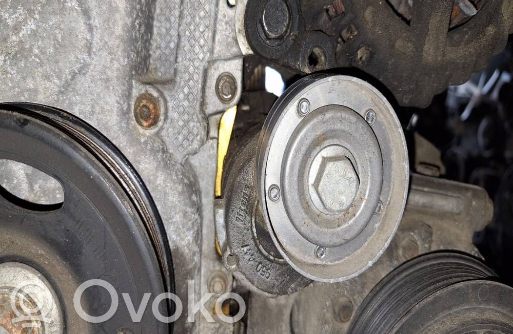 Skoda Octavia Mk2 (1Z) Tendicinghia generatore/alternatore 
