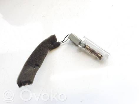 Opel Antara Autre éclairage intérieur 