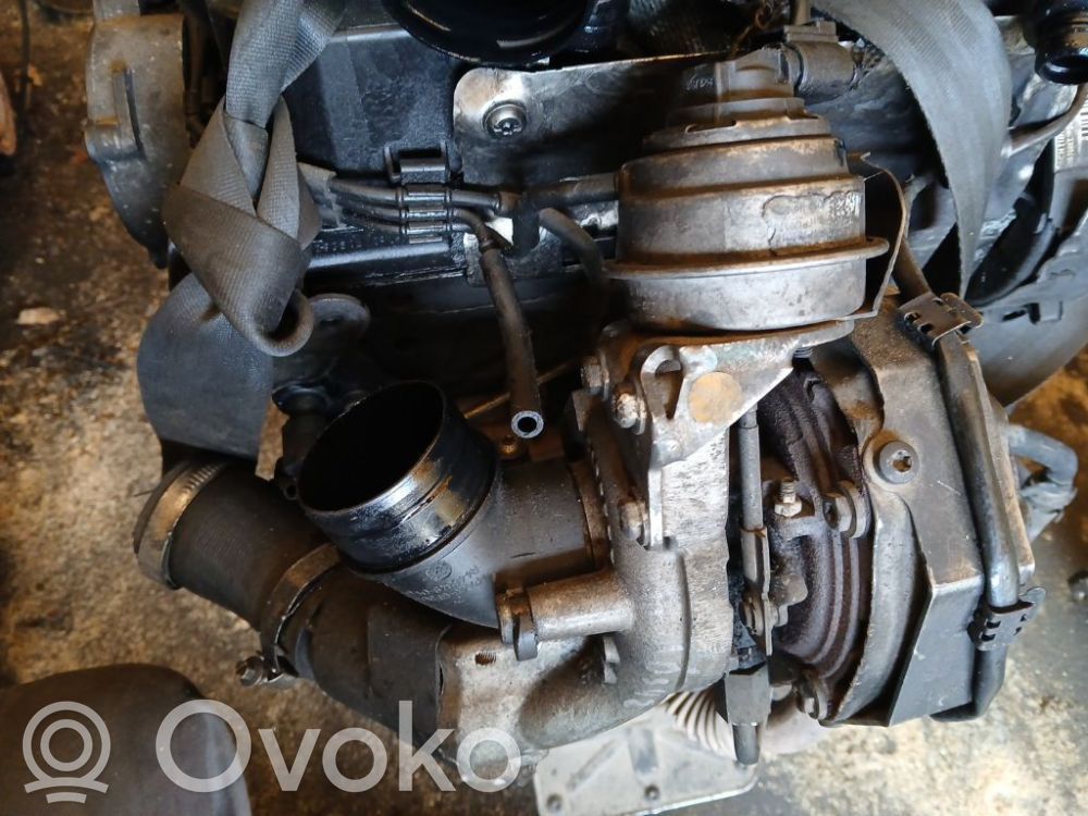 Turbo   03P253019B,03P253019B,03P253019B