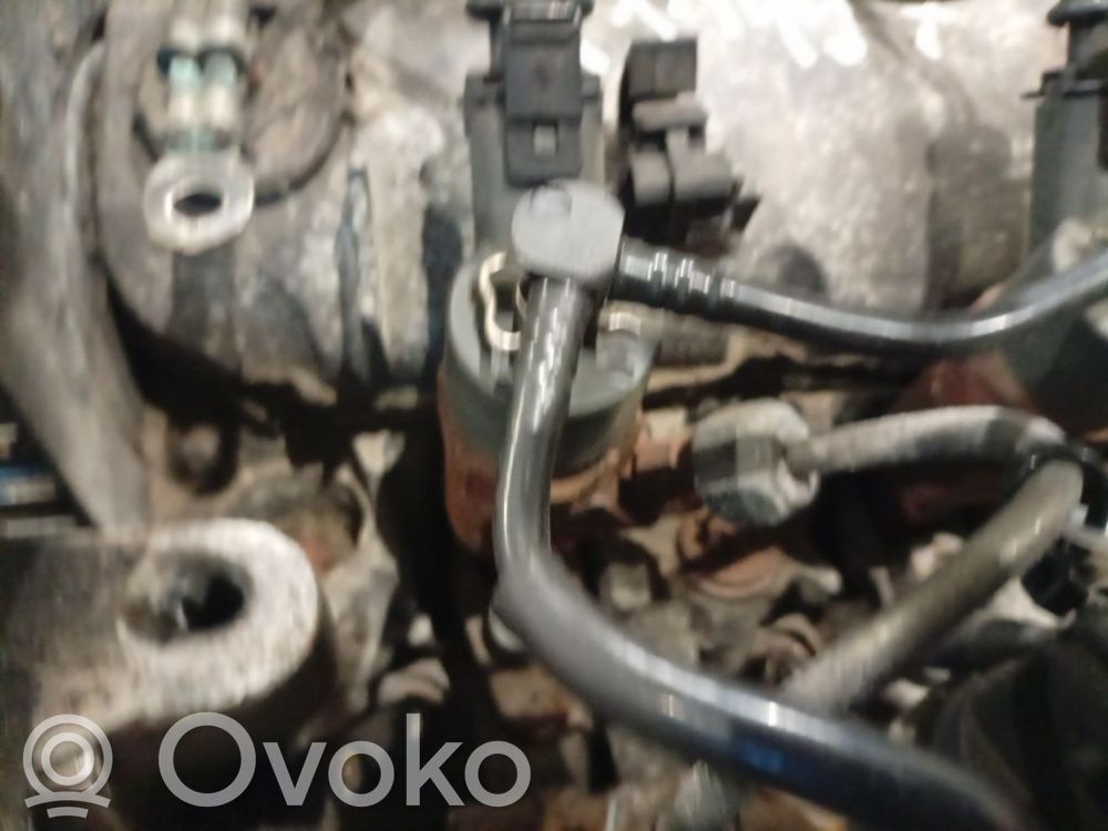 Inyector de combustible   0445110021,0445110021,0445110021