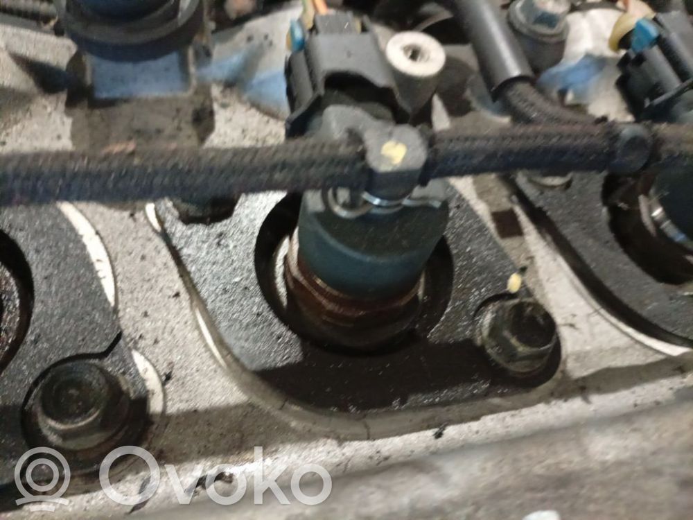 Inyector de combustible   0445110175,0445110175,0445110175