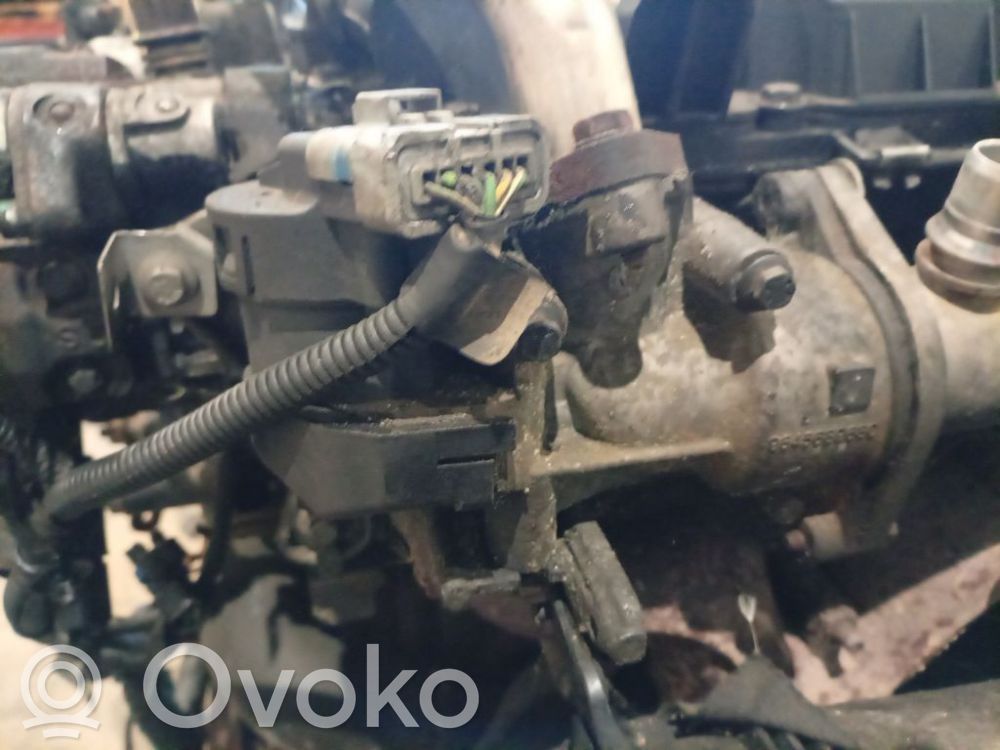 Volvo V50 Valvola EGR