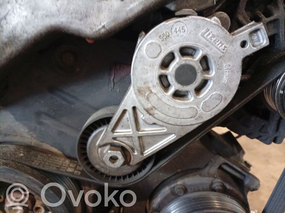 Volkswagen PASSAT B6 Tendicinghia generatore/alternatore 