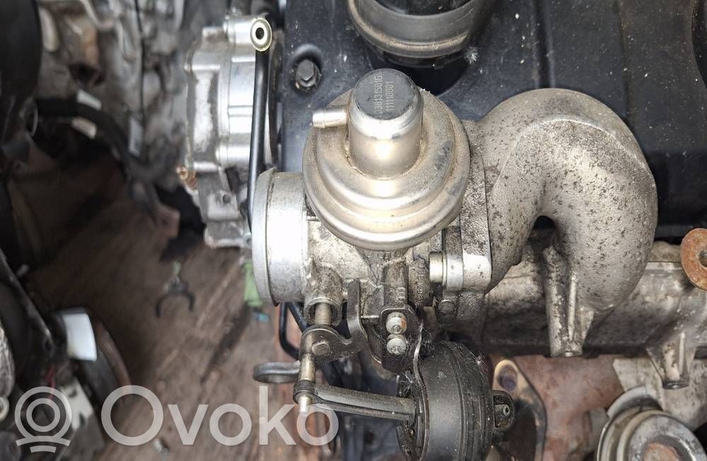 Válvula EGR   038131501G,038131501G