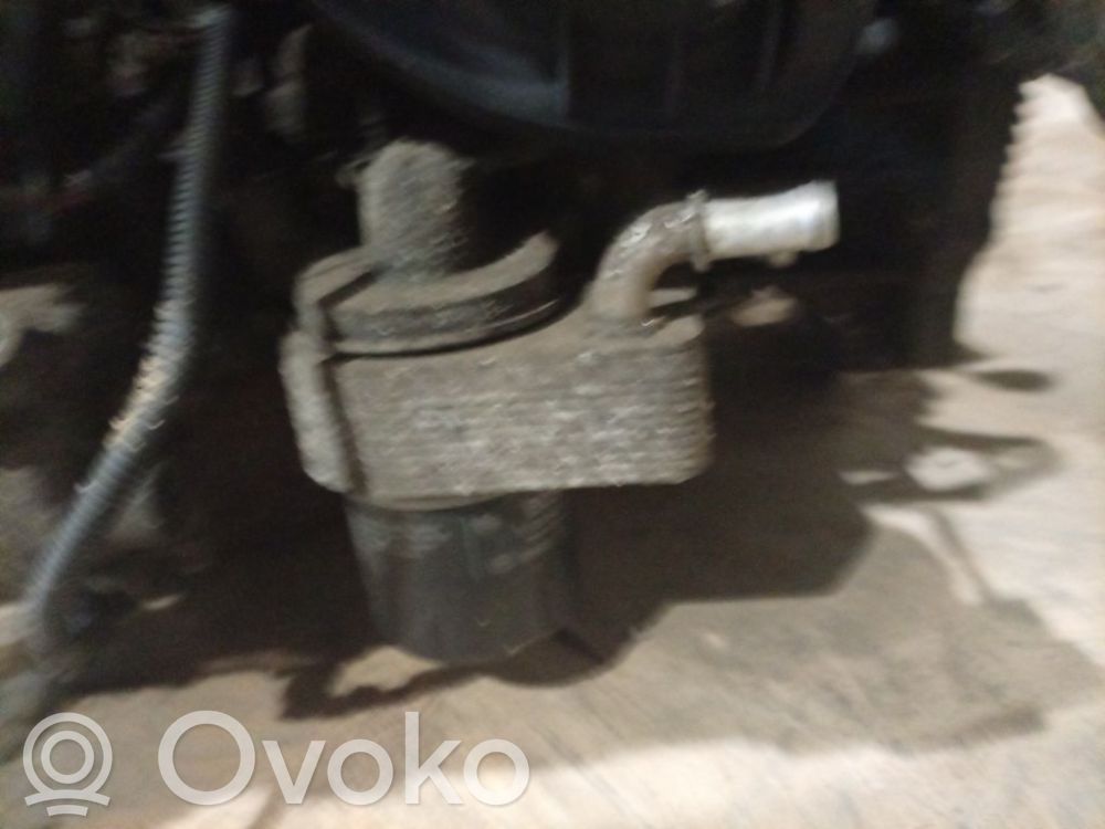 Ölkühler