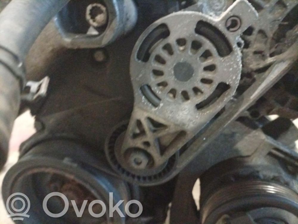 Skoda Octavia Mk2 (1Z) Tendicinghia generatore/alternatore
