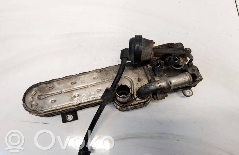 Volkswagen PASSAT B6 Valvola di raffreddamento EGR