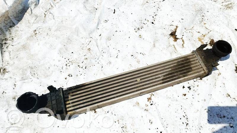 Radiatore intercooler   A2115001002,A2115001002