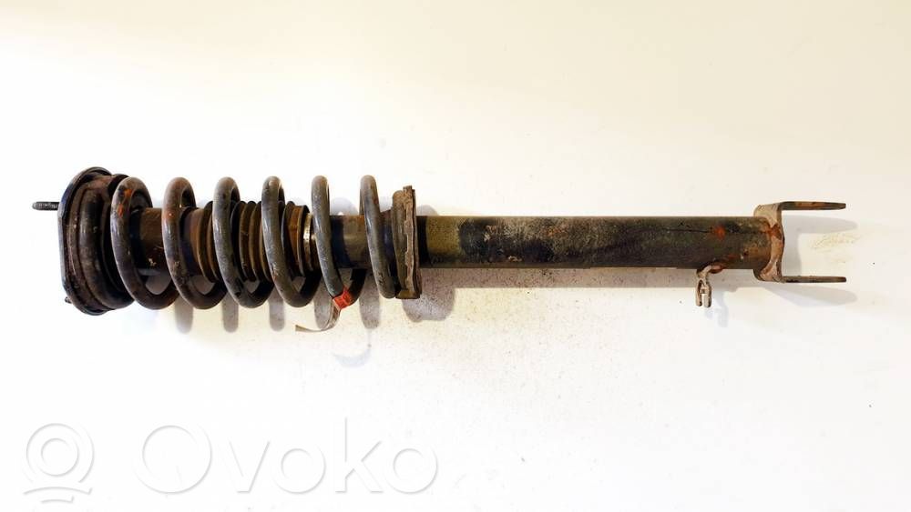 Stoßdämpfer vorne   101561901E,101561901E,101561901E