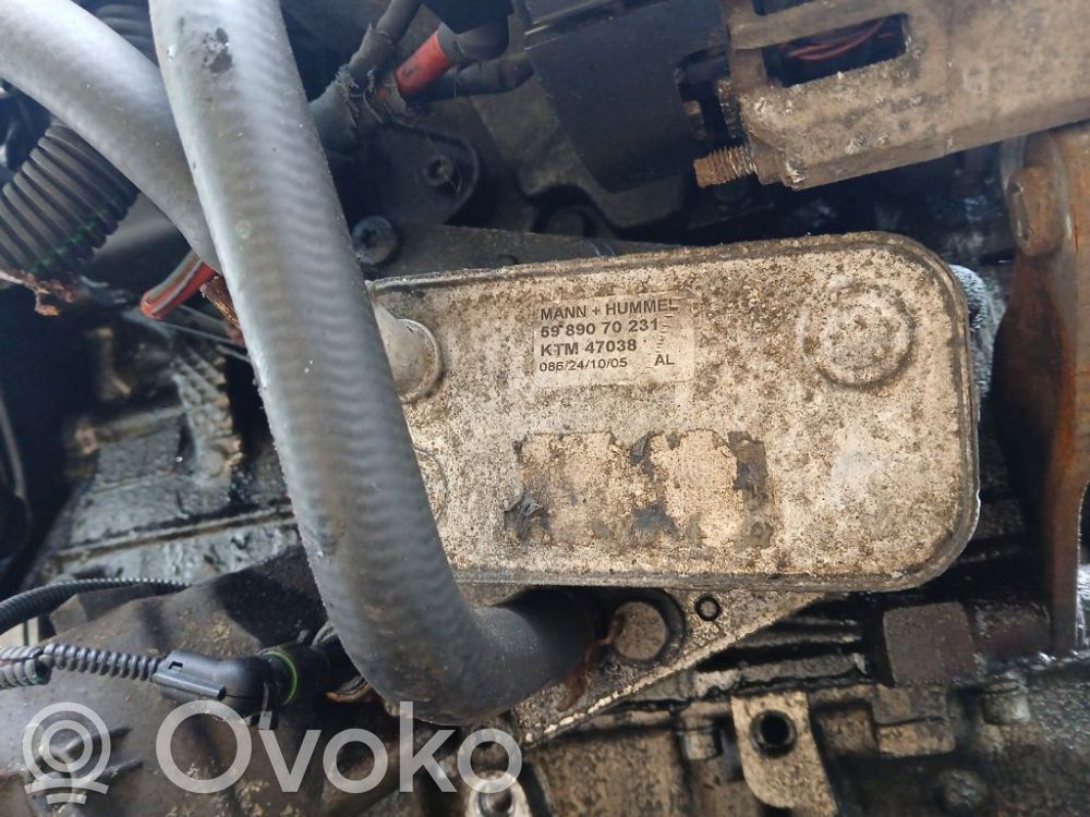 Chłodnica oleju   5989070231,5989070231,KTM47038