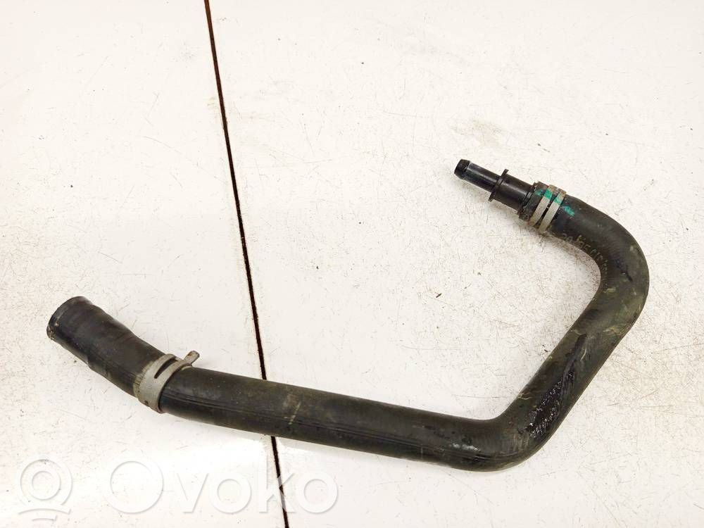 Tesla Model S Tubo flessibile del liquido di raffreddamento del motore