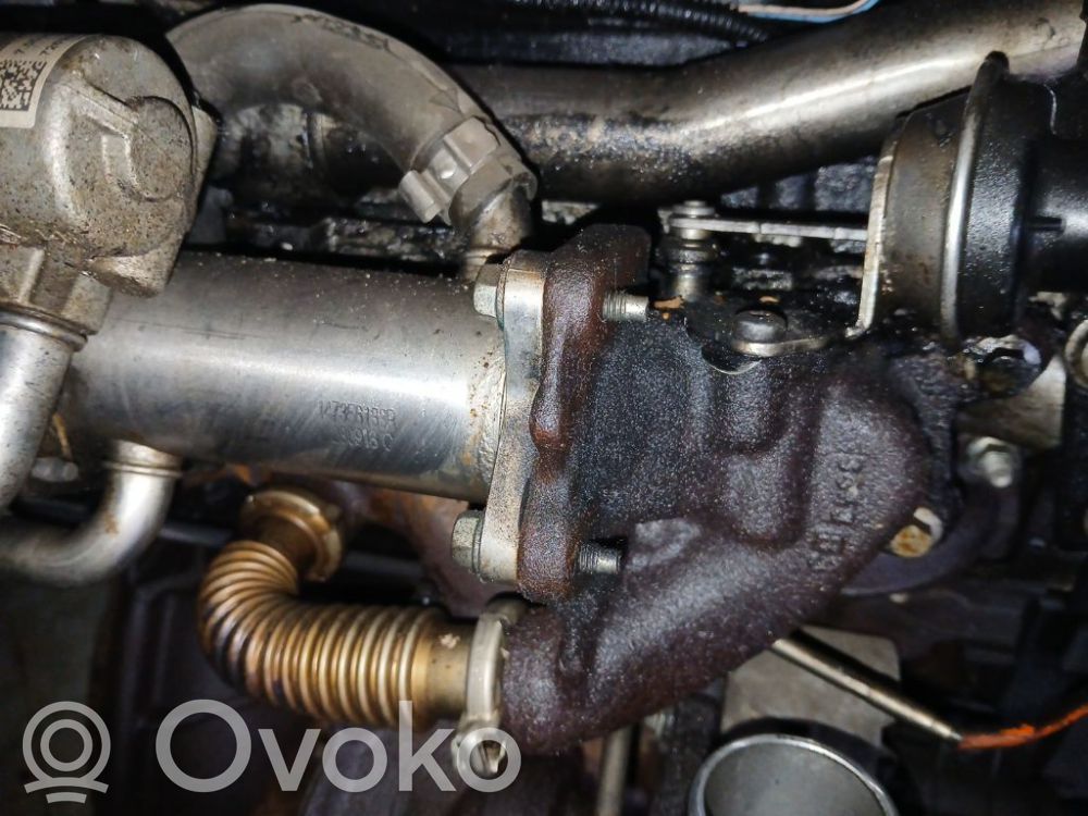 Dacia Sandero Valvola di raffreddamento EGR 