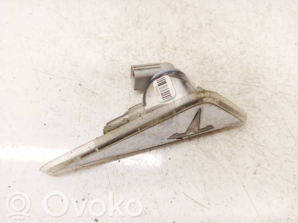 Seitenblinker   6007707,6007707