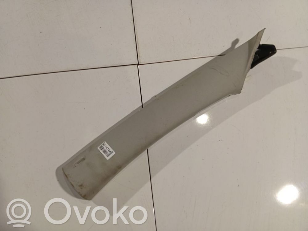 Volkswagen PASSAT B7 Rivestimento montante (C)