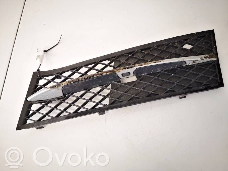 BMW 5 F10 F11 Mascherina inferiore del paraurti anteriore
