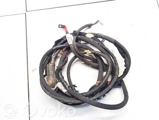 Renault Austral Otros cableados 
