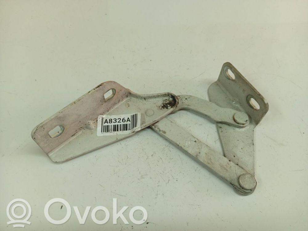 Iveco Daily 30.8 - 9 Cerniere del vano motore/cofano