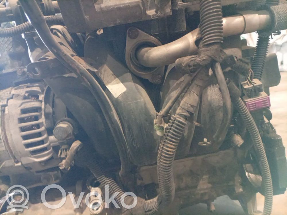 Opel Signum Kolektor ssący 
