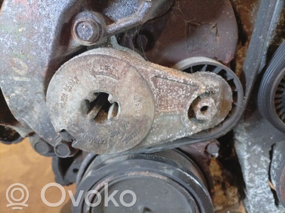 Tendicinghia generatore/alternatore   04891659AA,04891659AA,04891659AA