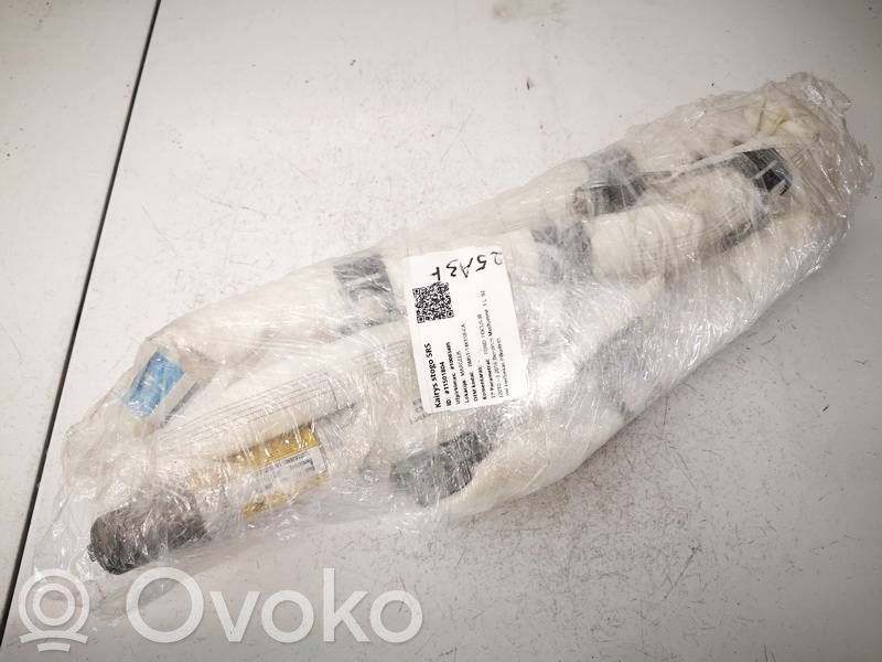 Ford Focus Airbag de toit