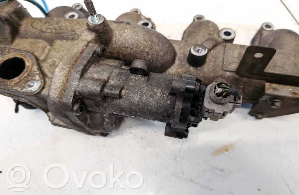 Ford Focus Zawór EGR