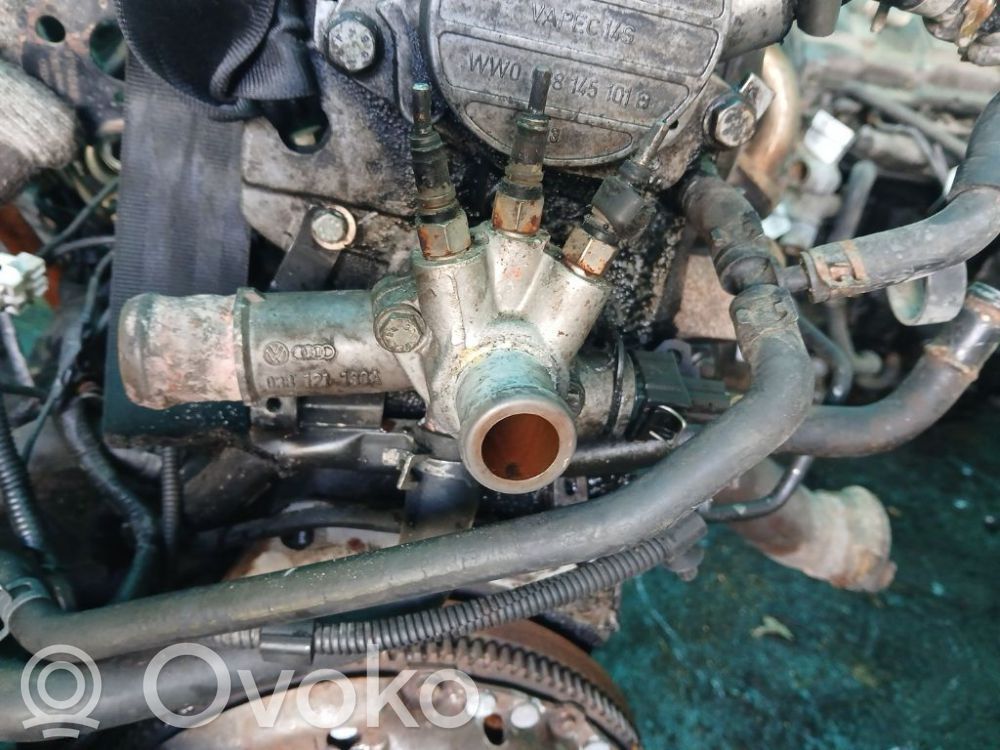 Volkswagen Golf IV Przewód / Wąż chłodnicy 