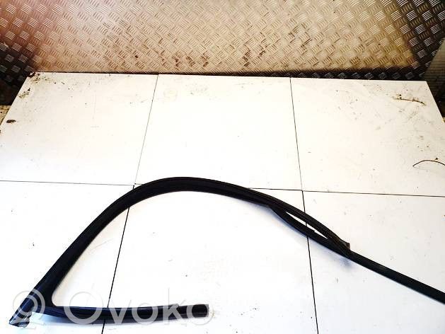 Opel Vectra C Rubber seal front coupe door 