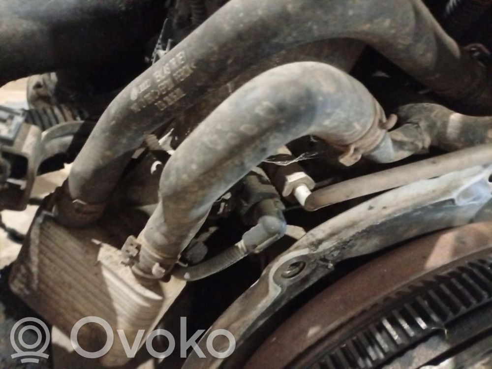 Volkswagen Golf V Kühlleitung / Kühlschlauch