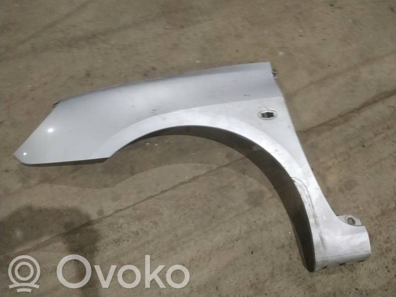 Peugeot 307 Fender 