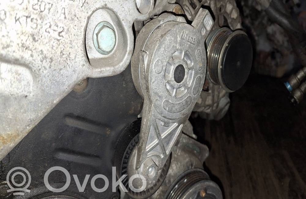 Volkswagen Golf V Napinacz paska alternatora 