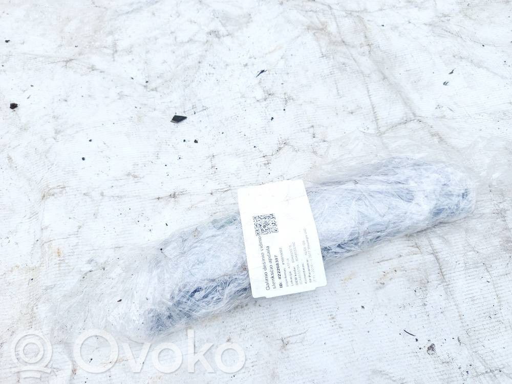 Audi Q5 SQ5 FY Einstiegsleiste Zierleiste hinten